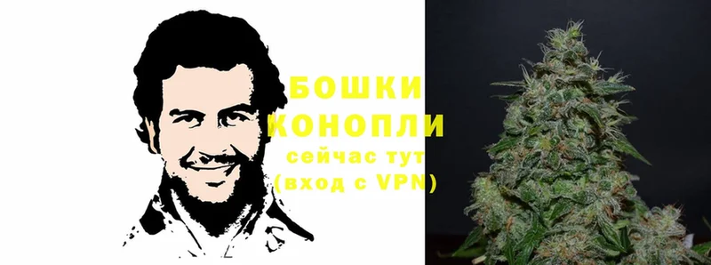 Конопля White Widow  Билибино 